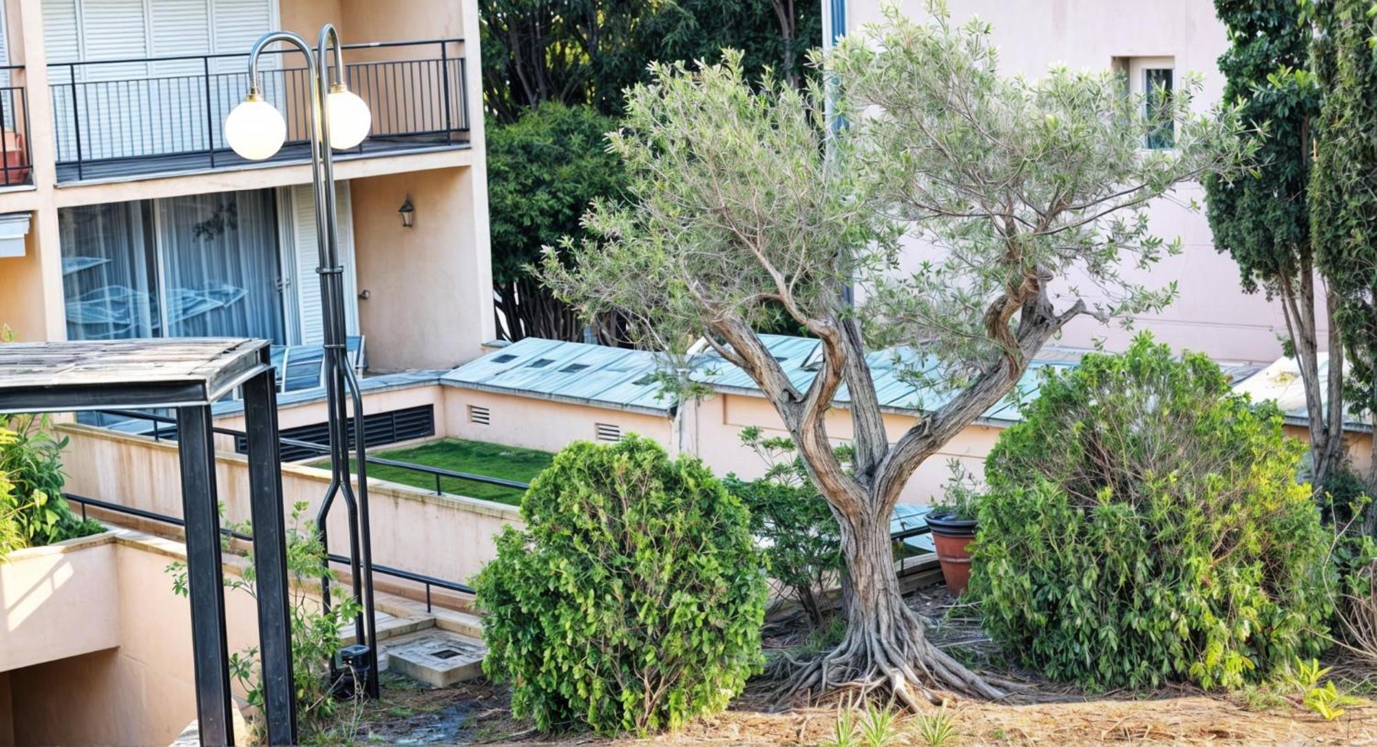 Precioso Apartamento Reformado En 1Ra Linea De Mar Sin Vistas Calella De Palafrugell Ruang foto